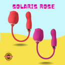 Solaris Rose
