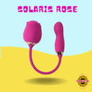 Solaris Rose