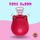 Rose Bloom