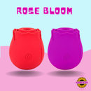 Rose Bloom